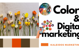 l'importanza dei colori nel marketing digitale